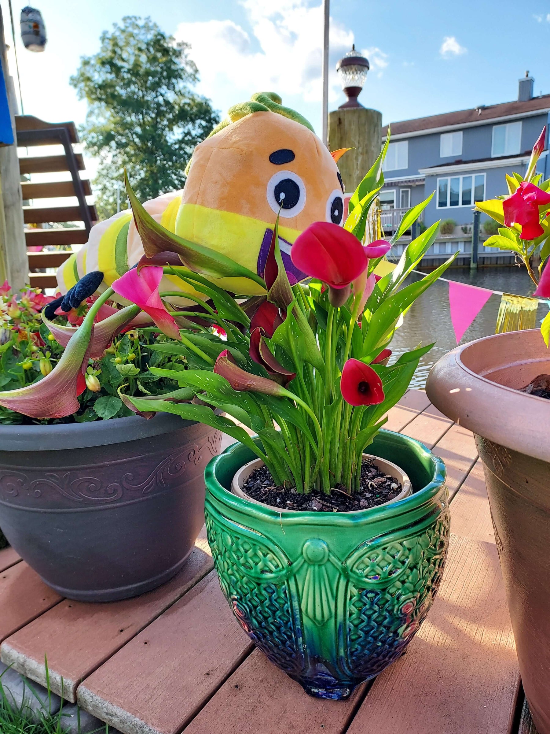 Colorful potted flowers with a cheerful bee plush toy in a sunny outdoor setting by the water.